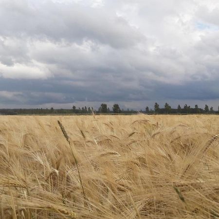 B&B De Hemelse Polder ซินต์-เลาไรนส์ ภายนอก รูปภาพ