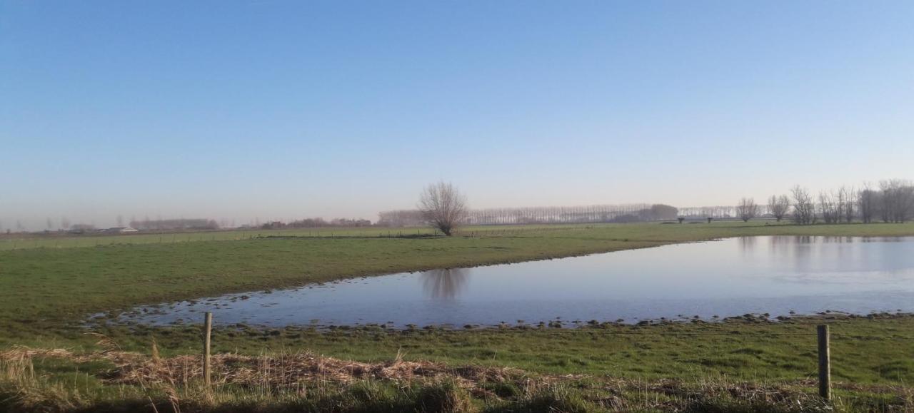 B&B De Hemelse Polder ซินต์-เลาไรนส์ ภายนอก รูปภาพ