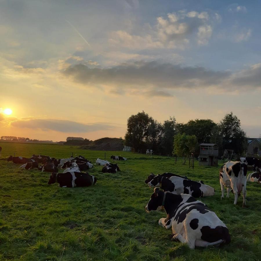 B&B De Hemelse Polder ซินต์-เลาไรนส์ ภายนอก รูปภาพ