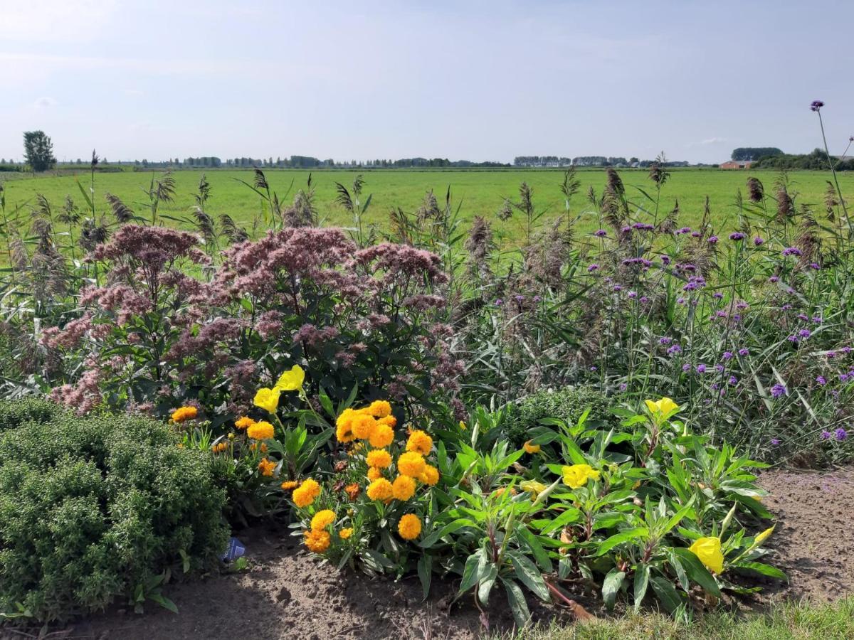 B&B De Hemelse Polder ซินต์-เลาไรนส์ ภายนอก รูปภาพ