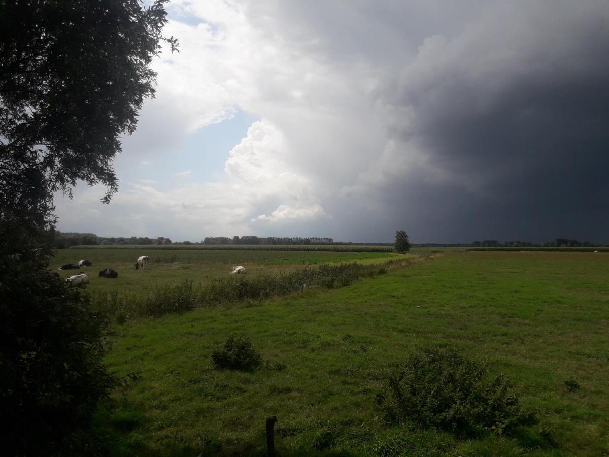 B&B De Hemelse Polder ซินต์-เลาไรนส์ ภายนอก รูปภาพ