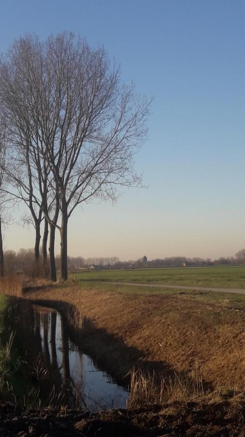 B&B De Hemelse Polder ซินต์-เลาไรนส์ ภายนอก รูปภาพ