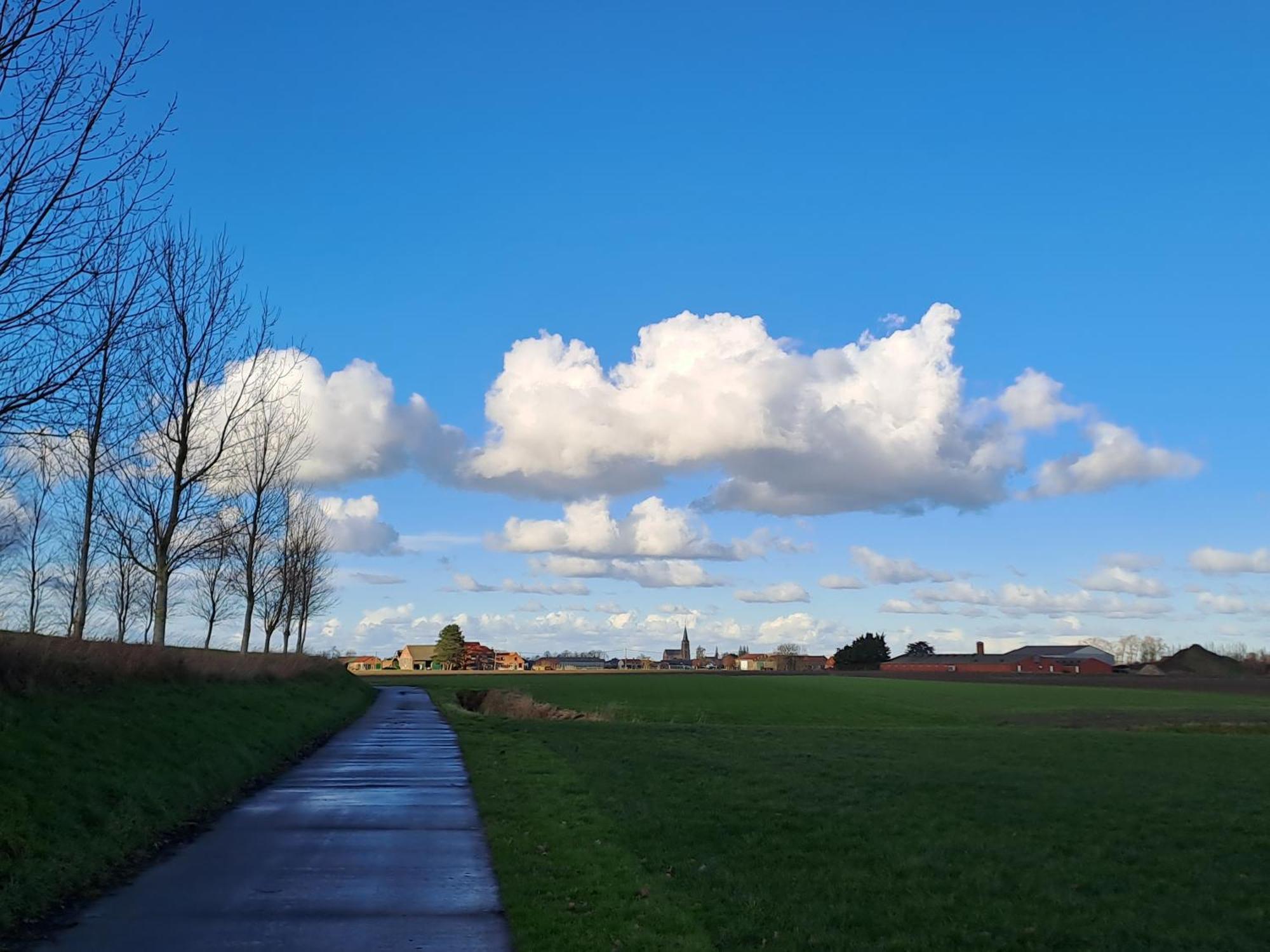 B&B De Hemelse Polder ซินต์-เลาไรนส์ ภายนอก รูปภาพ